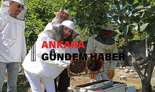 Antalya Büyükşehir kursiyerleri kovan başında arıcılık eğitimi aldı