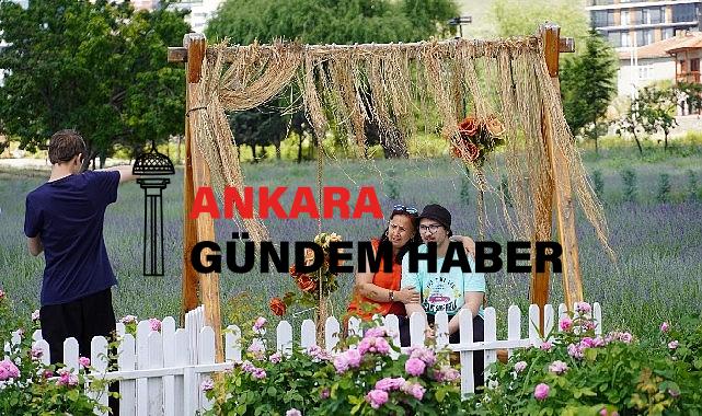 Genç yaşlı herkez lavanta ve gül bahçesi cekim platosunda 