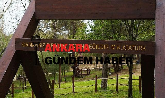 Lüleburgaz Kent Ormanına bu yılın ilk 6 ayında 64 bin 500 ziyaretçi geldi.