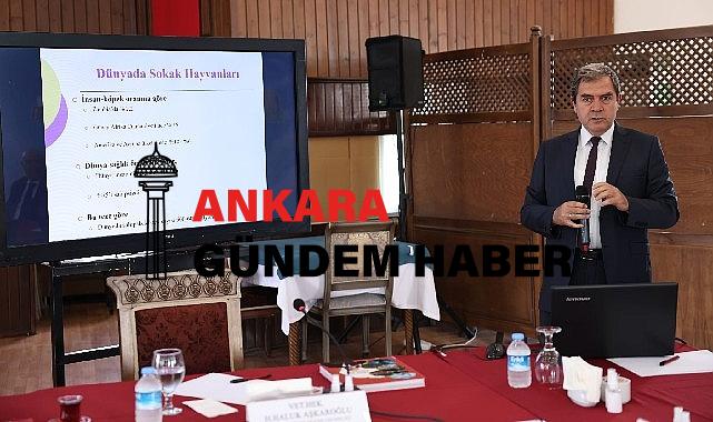 Ankara Buluşmaları’nda “Kent Hayatı ve Hayvan Hakları” konuşuldu