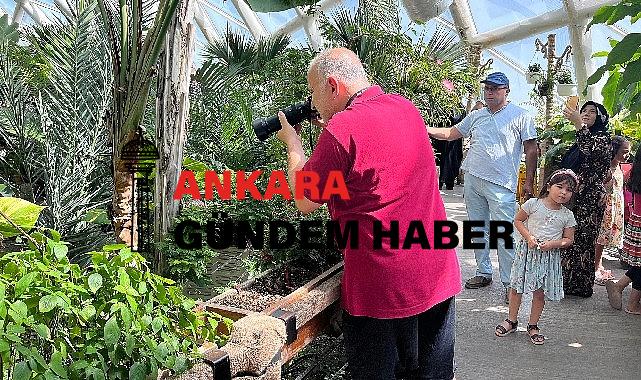 Konya Tropikal Kelebek Bahçesi yaz aylarının favori ziyaret mekanı oldu