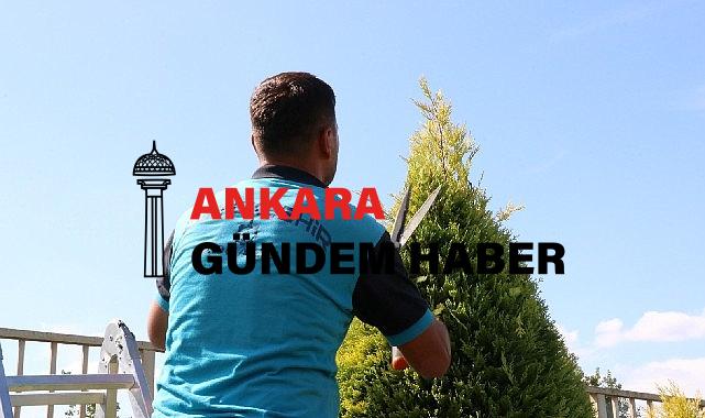 Park ve bahçelerde sonbahar budaması