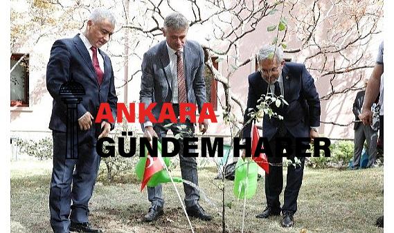 İsviçre büyükelçisi’nden Ankara üniversitesine 100.yıl fidanı