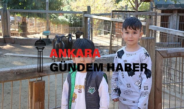 Doğal Yaşam Parkı’na ziyaretçi akını