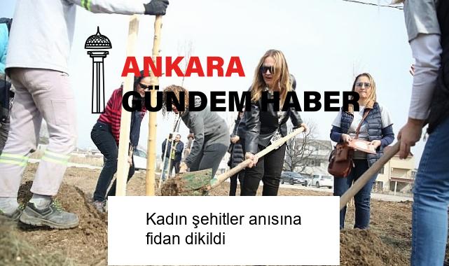 Kadın şehitler anısına fidan dikildi