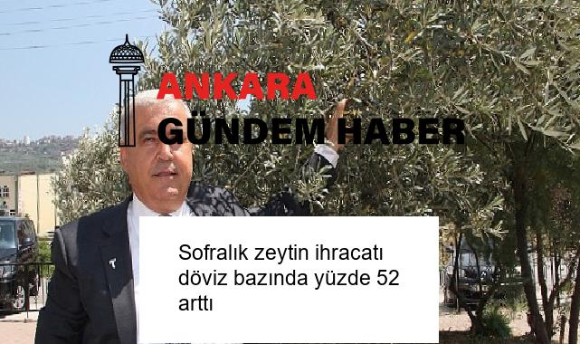 Sofralık zeytin ihracatı döviz bazında yüzde 52 arttı