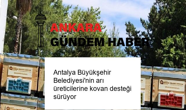Antalya Büyükşehir Belediyesi’nin arı üreticilerine kovan desteği sürüyor