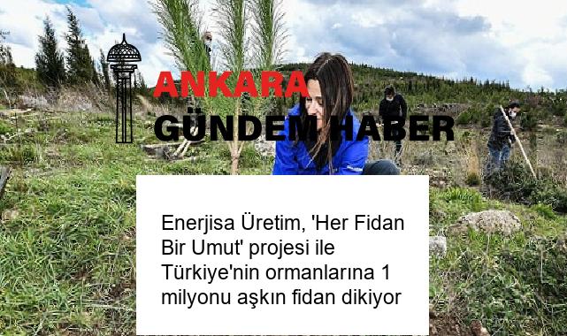 Enerjisa Üretim, ‘Her Fidan Bir Umut’ projesi ile Türkiye’nin ormanlarına 1 milyonu aşkın fidan dikiyor