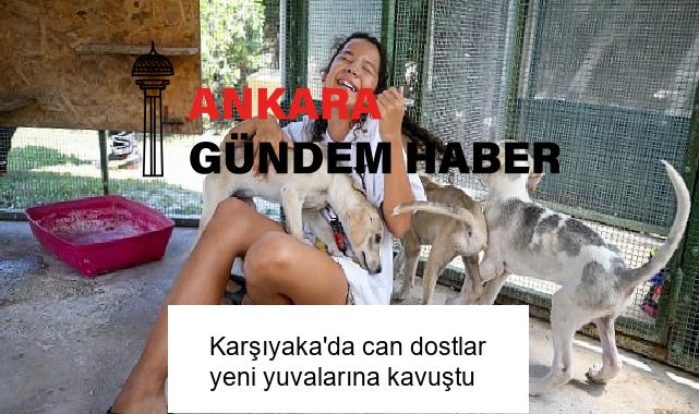 Karşıyaka’da can dostlar yeni yuvalarına kavuştu