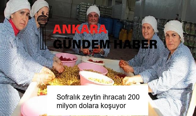 Sofralık zeytin ihracatı 200 milyon dolara koşuyor