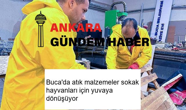 Buca’da atık malzemeler sokak hayvanları için yuvaya dönüşüyor